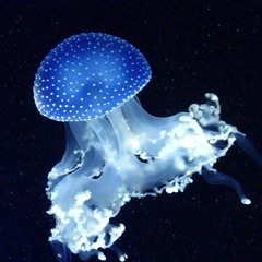 BIOLUME 01_211202