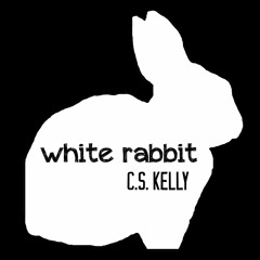 Down The Rabbithole (Peter Madden Vocal Edit)