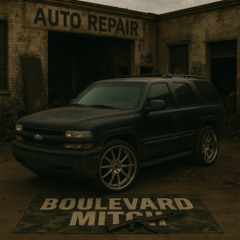 boulevard mitch - broke tahoe signal