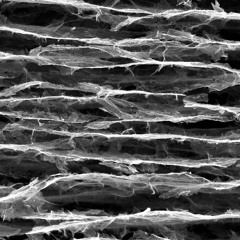 Microscopia de un aerogel de grafeno de canales paralelos a 500 aumentos