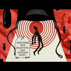 Everything Was Beautiful, and Nothing Hurt