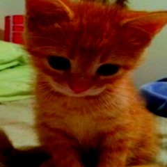 another hopeless romantic.mp3