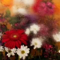 Let the Flowers Grow - (Cover / Remaster/GrLyrics) by Αλέξανδρος Κυβρικοσέος 1st Version