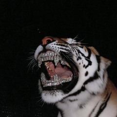 Unforgettable Freestyle (Feat. KJ ROCKS)