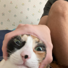 …