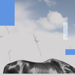 Techno Sauna Podcast