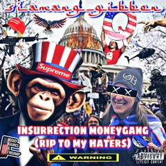 insurrection moneygang (rip to all my haters)起义
