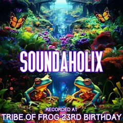 Soundaholix - Recorded at TRiBE of FRoG 23rd Birthday - September 2023