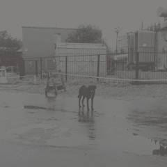 After its own death: Side A