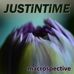 Macrospective (DJ Mix - Half Tempo Bass)