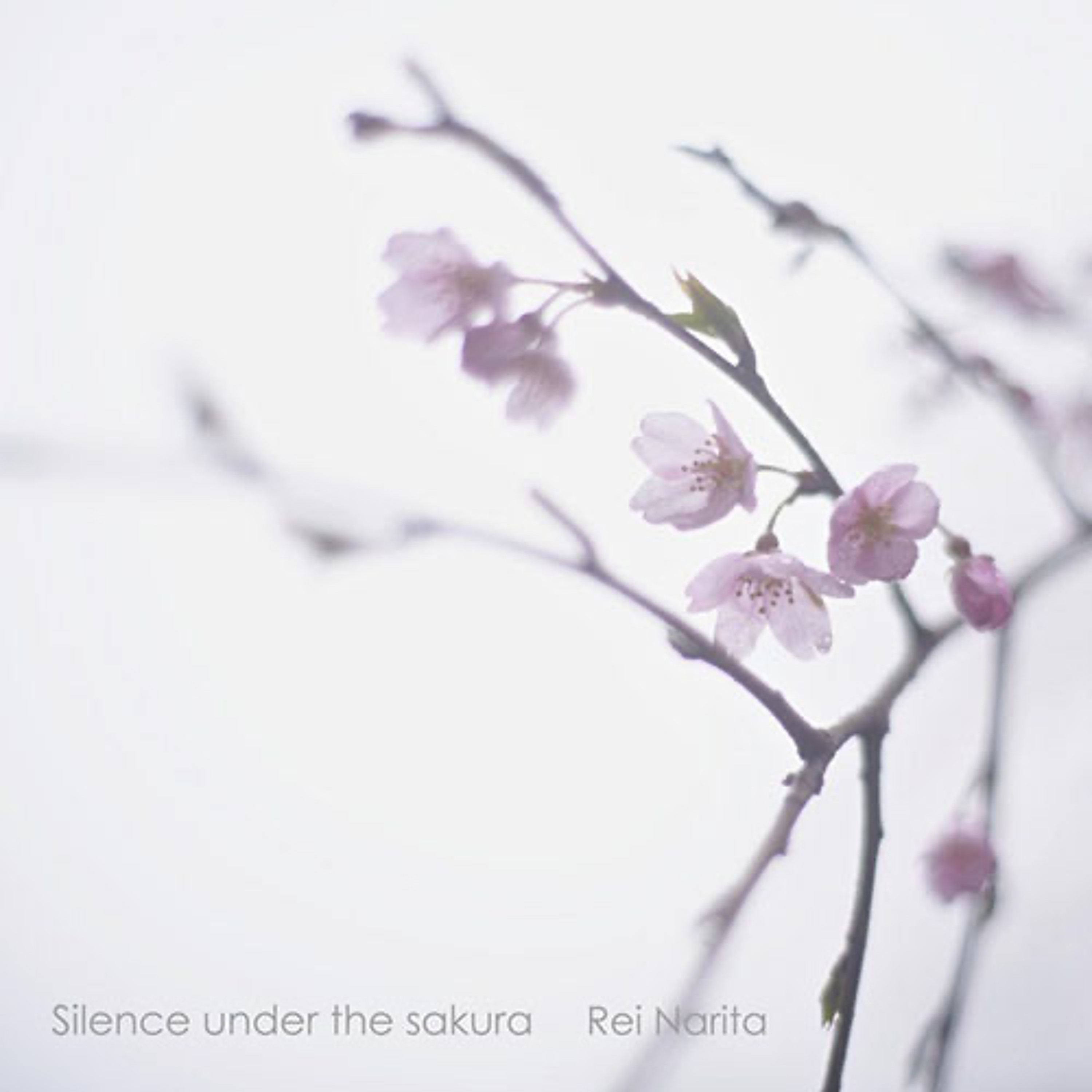 Rei Narita : Silence Under The Sakura episode artwork