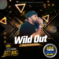 Wild Out Mega Mix Down Edition DjBrimStone