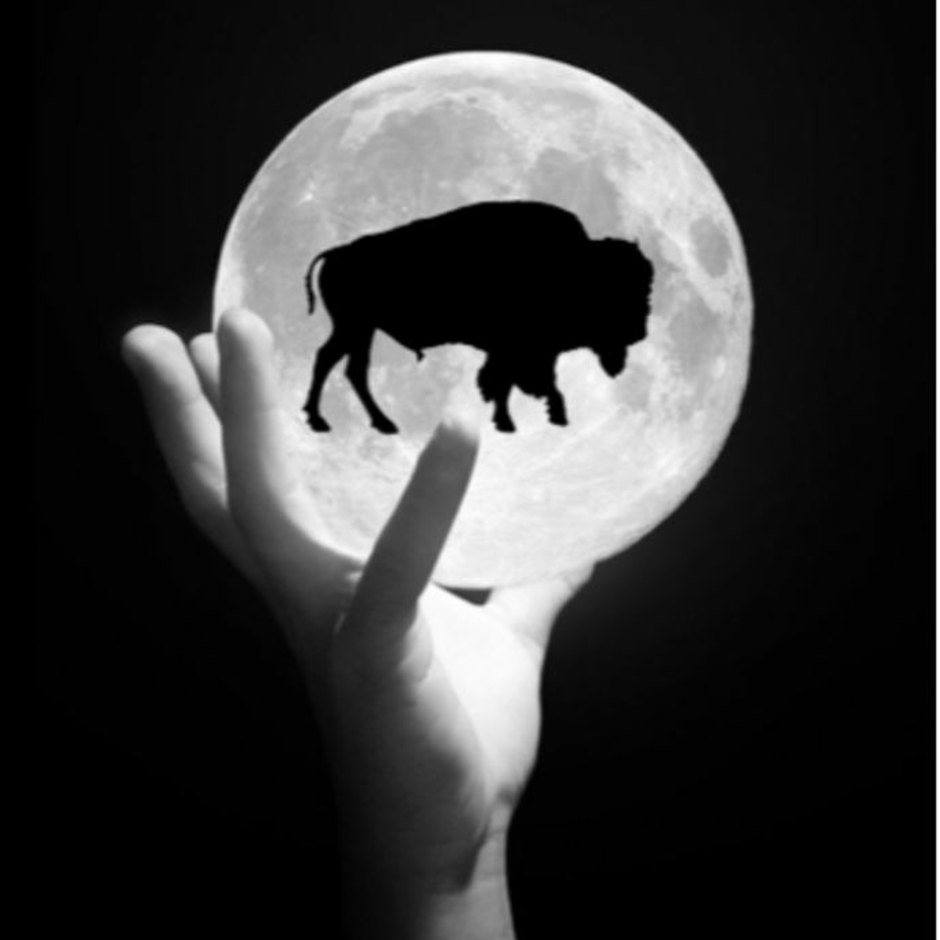 Sun – Bison Moon – BM01 – 19 episode artwork