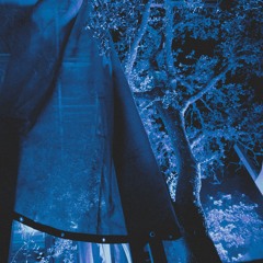 Lino Capra Vaccina live at Waking Life 2025