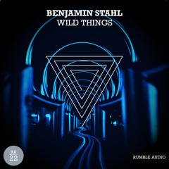 Wild Things (Original Mix)