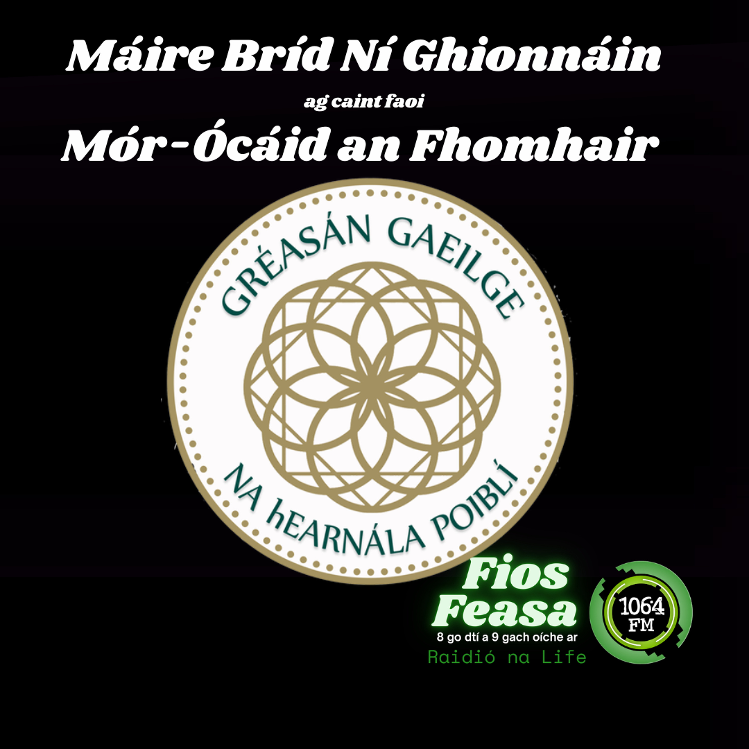 Máire Bríd Ní Ghionnáin - Gréasán Gaeilge na hEarnála Poiblí