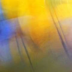 Yellow Belly Slacker