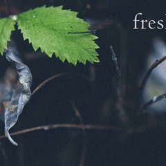 fresh (naviarhaiku579)