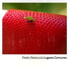 Pedro Restuccia - Lugares Comunes (Sencillo | 2025)