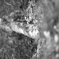 Topgunn - Dør (bIG bOI cHAOS Remix)