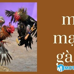 Màu mạng gà đá chuẩn xác nhất 2023 cho dân đá gà