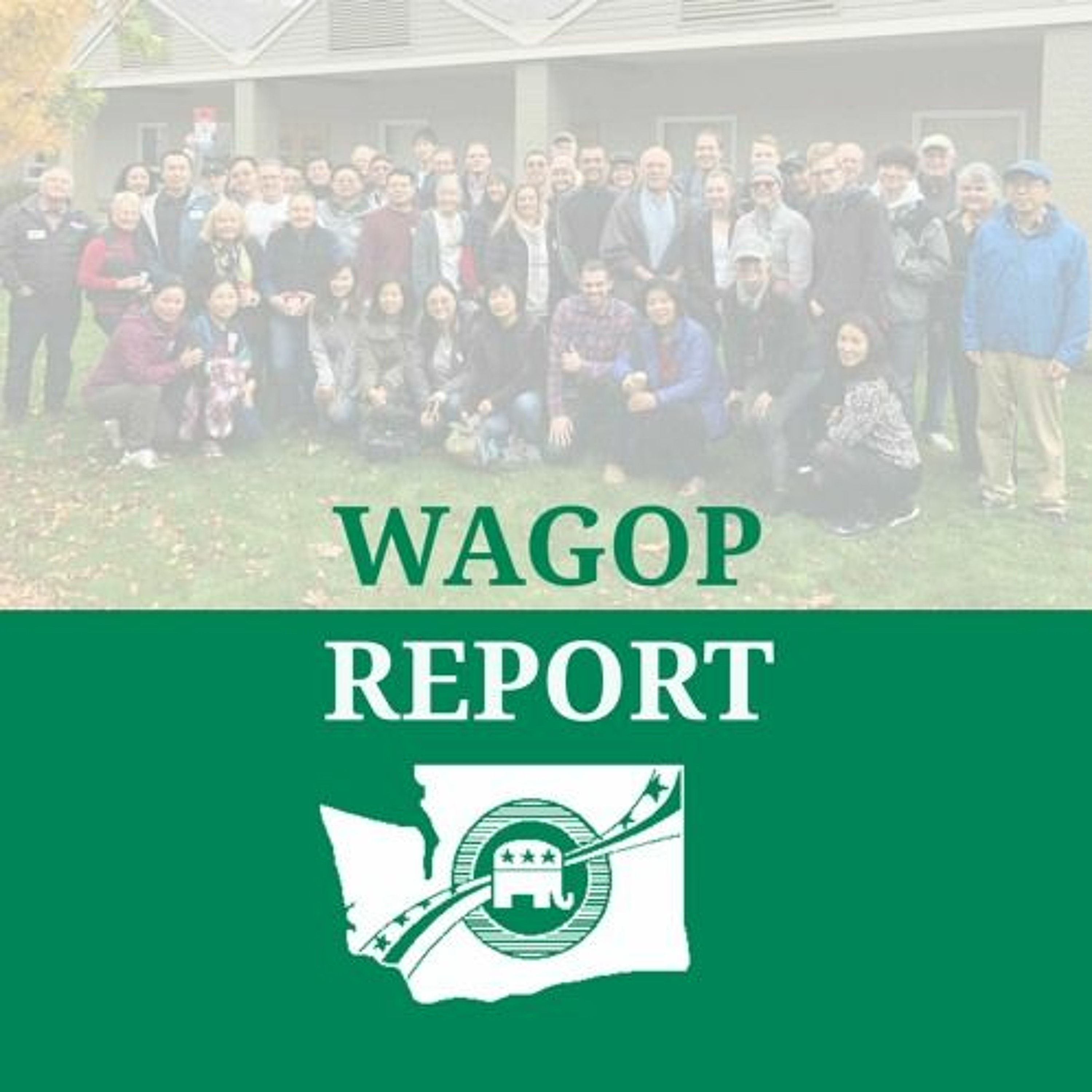 WAGOP Report