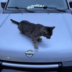 synergetic (rihanna-s&m remixx)