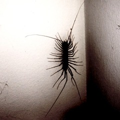 CENTIPEDE