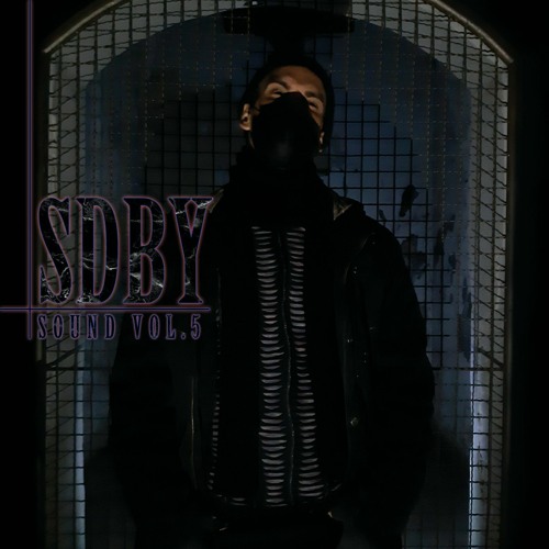 SDBY Sound Vol.5 Snippet