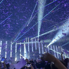 ElectronicDanceManipluation