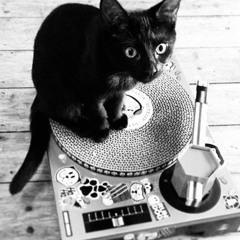 Unvollkommen Akzeptabel