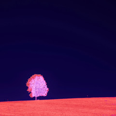 Away