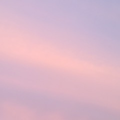 전상근 - 그 날