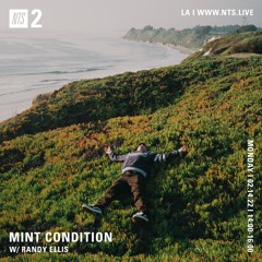 Mint Condition Valentines Day Mix w DJ Randy Ellis (NTS) 02.14.22