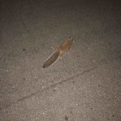 jugg in the back of the function (ft. starcart3r and voxy.wav)