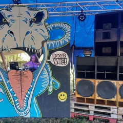 ROARNESS - The Night - Live DJ Set - DJ Mariekee