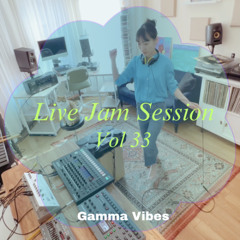 LIVE JAM SESSION VOL 33 - Minimal Acid House with Hamlet Scene
