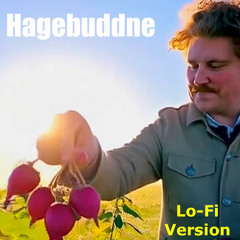 Hagebuddne (Lo-Fi Version)