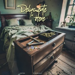 Delincuente In Here - Tokisha Vs Nelly