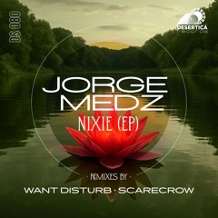 Nixie (Scarecrow Remix)