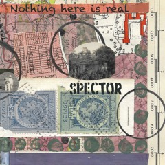Spector