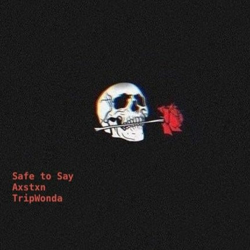 Safe to Say </3 (With TripWonda)