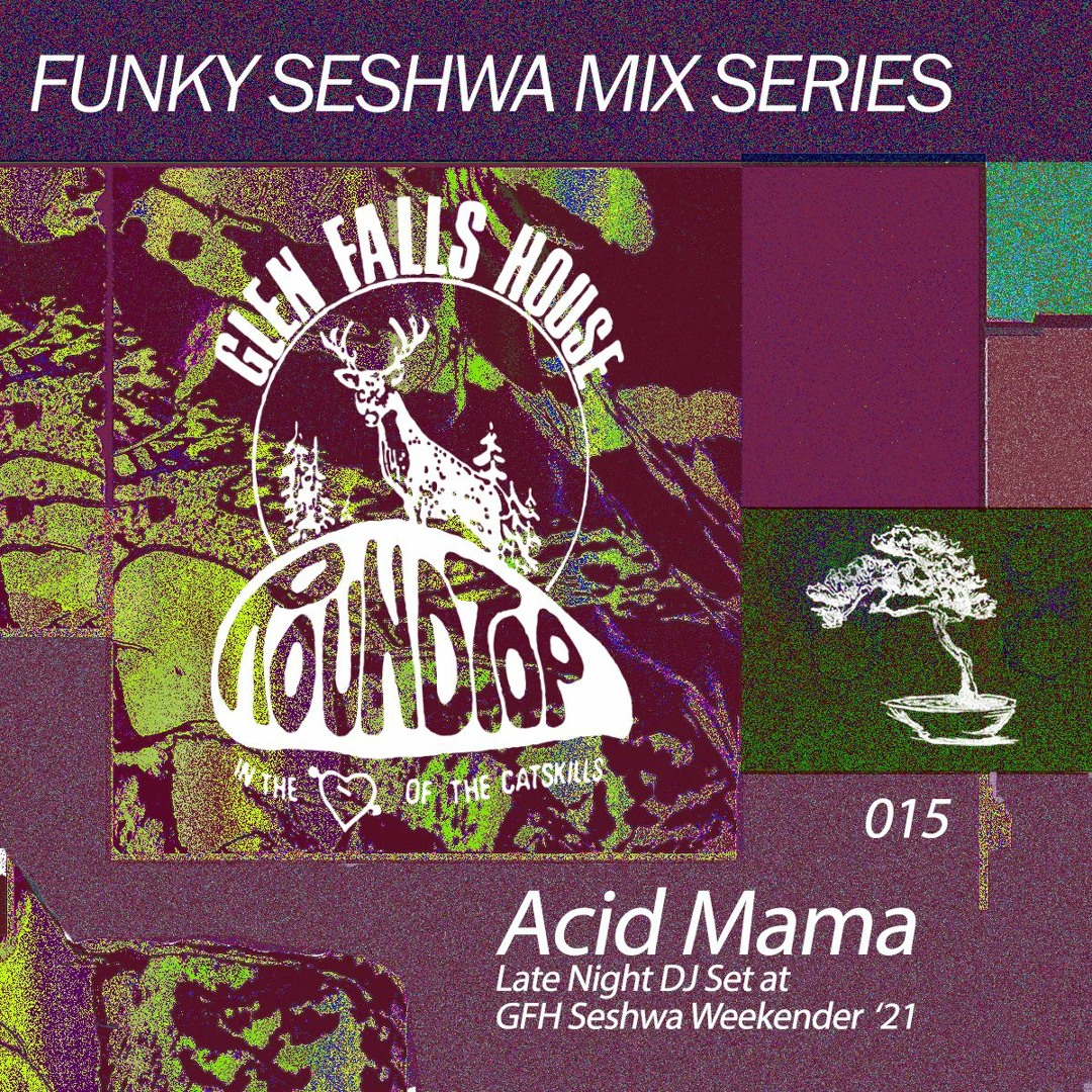 Stream Seshwa Mix Series 015: Acid Mama (Marsweather b2b Dio Garcia ...