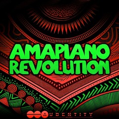 Audentity Records - Amapiano Revolution