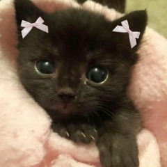 Rebzyyx - d3adw1nter