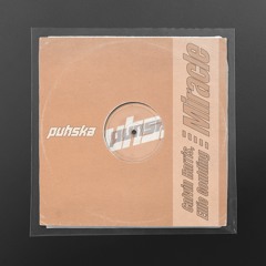 Calvin Harris, Ellie Goulding - Miracle(Puhska Edit)
