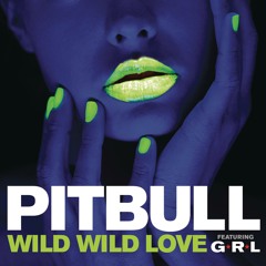 Pitbull feat. G.R.L. - Wild Wild Love