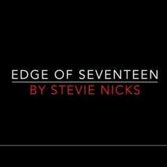 Stevie Nicks - Edge Of Seventeen (Petra & Felipe Van Lagerback Remix)
