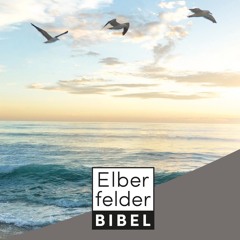 [Read] Online Elberfelder Bibel - Altes und Neues Test BY : SCM R.Brockhaus