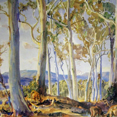 Cows Grazing Amongst the Gums